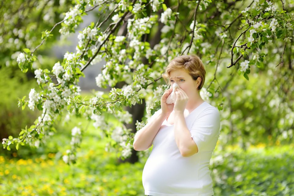 Heuschnupfen in der Schwangerschaft: Schwangere Frau steht unter einem blühenden Baum und putzt sich die Nase