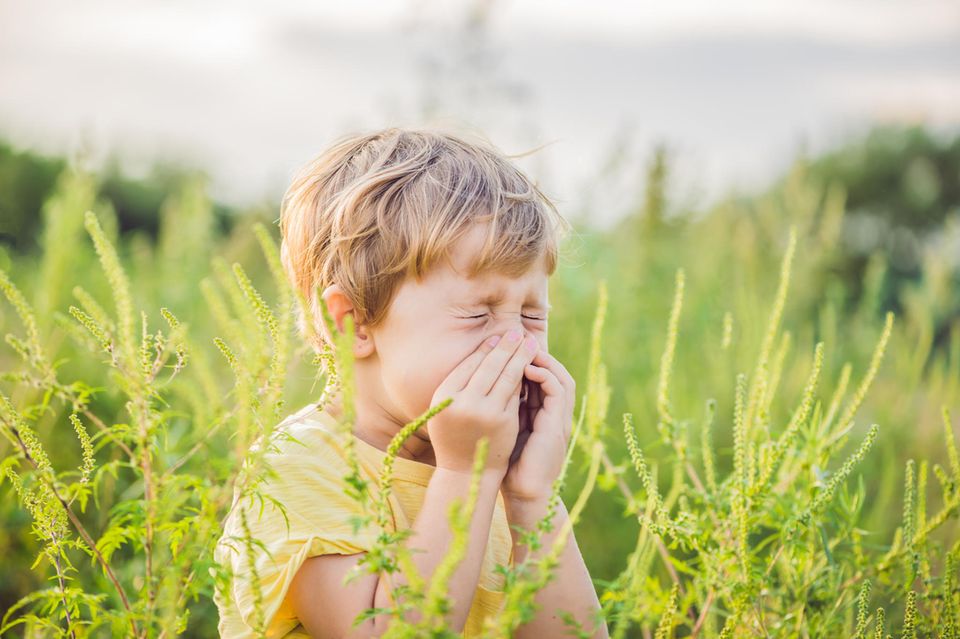 Pollenflugkalender: Junge steht in blühendem Feld und hält sich die Nase zu
