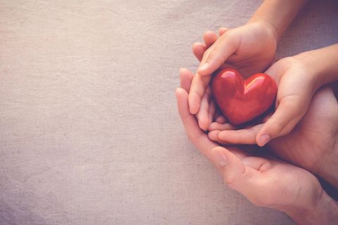 Organspende: Hände eines Kindes und eines Erwachsenen halten ein Herz