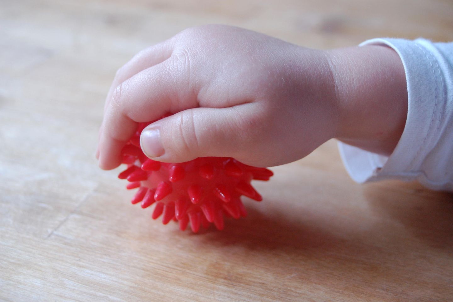 Silke Scholz: Eine Babyhand liegt auf einem Igelball