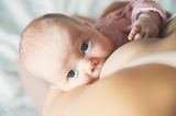 Allergien vorbeugen: Säugling an der Brust schaut hoch