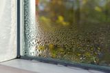Allergien vorbeugen: Kondenswasser am unteren Rand einer Fensterscheibe