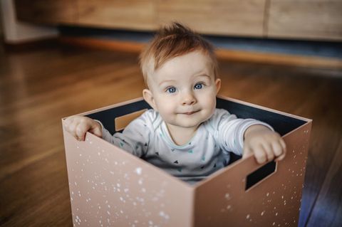 Ein kleiner Junge sitzt zufrieden in einer Box