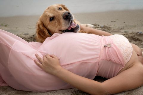 Hund in der Schwangerschaft: Werdende Mutter lässt Hund den Babynamen wählen