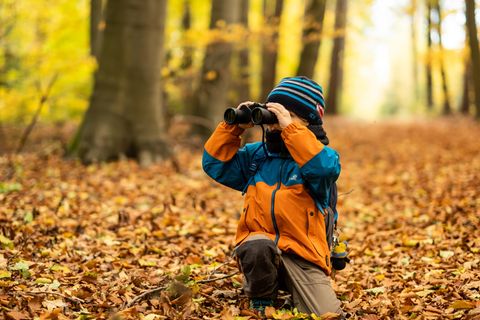Kinderfernglas-Test: Junge beobachtet Tiere durch ein Kinderfernglas im herbstlichen Wald.