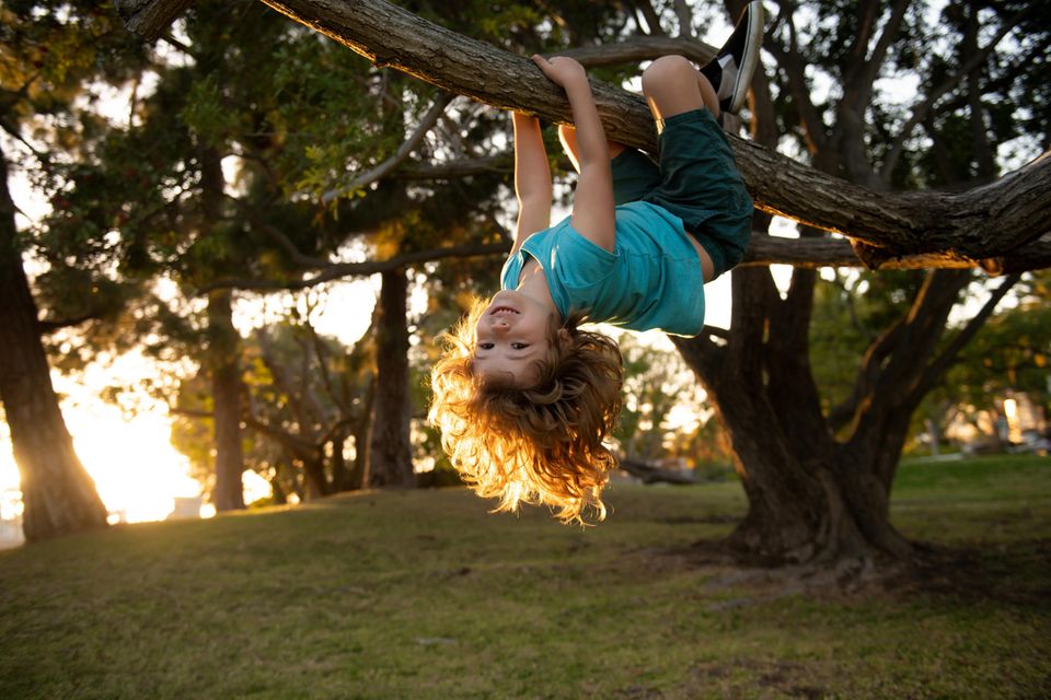 Montessori- Stärke für Kinder - Kind klettert selbstbewusst am Baum