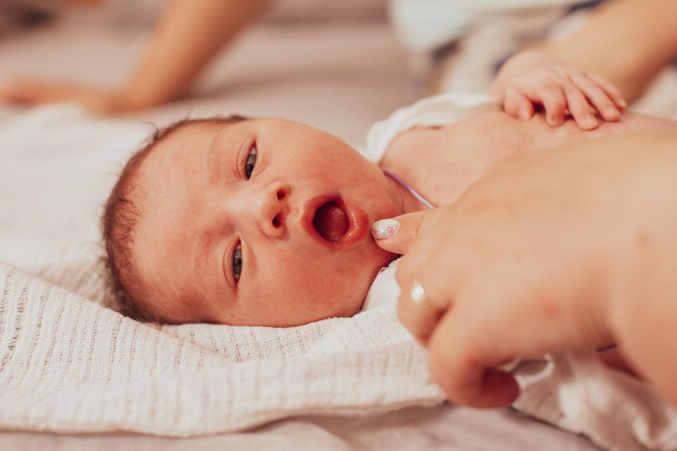 Verkürztes Zungenbändchen: Mund eines Neugeborenen wird untersucht