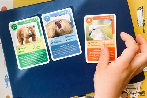 Spielerisch Bindung stärken: Kinderhände greifen nach Tierkartenspiel