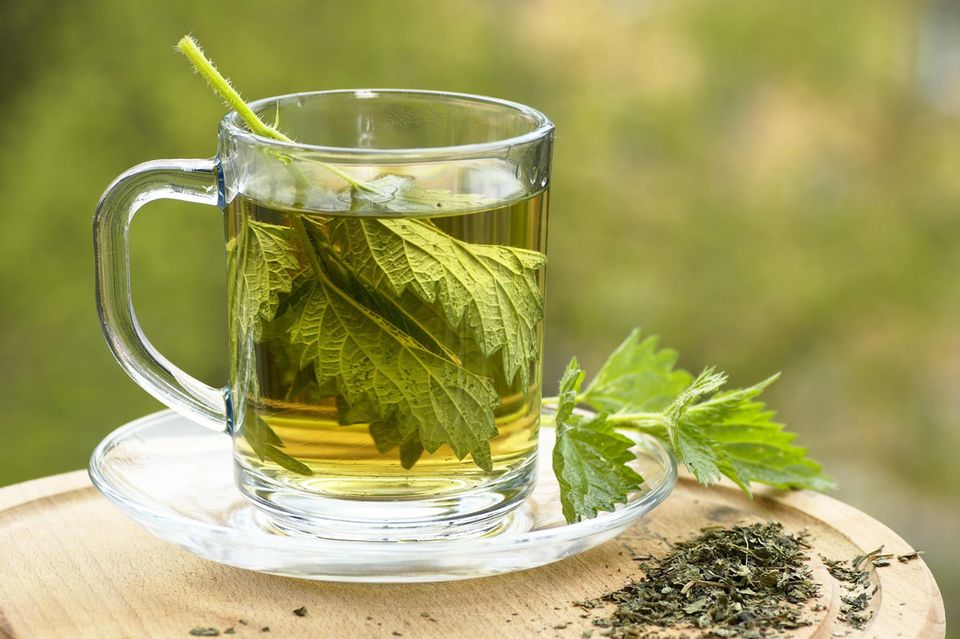 Brennnesseltee in der Schwangerschaft: Eine Tasse Tee mit Brennnesselblättern