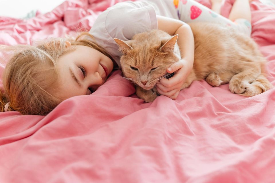Kleines Haustier Zum Kuscheln 1